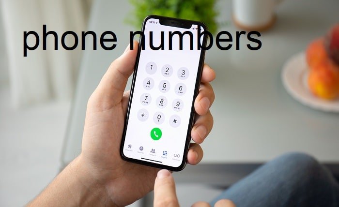 phone numbers