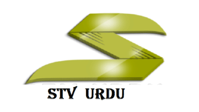 stv urdu