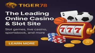 Top Reasons Tiger78 Offers Better Odds and Bigger Wins
